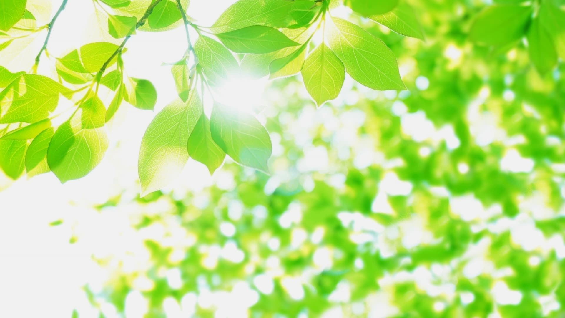 有限会社植正庭苑緑化